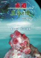 【中古】赤道 生命の環 西太平洋 サンゴの楽園 [DVD]