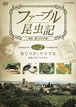 乐天商城 - 【中古】ファーブル昆虫記 カリバチとヤママユ 本能の命ずるままに [DVD]