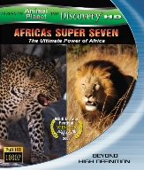 AFRICAS SUPER SEVEN アフリカの覇者達 