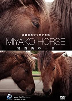 【中古】沖縄県指定天然記念物・宮古馬の一日 [DVD]