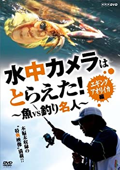 By Title: Ka Line - 【中古】水中カメラはとらえた! 魚VS釣り名人 エギング アオリイカ編 [DVD]