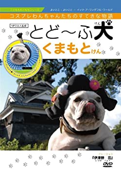 【中古】とどーふ犬 くまもとけん [DVD]