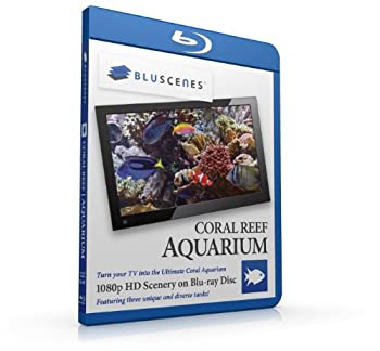 【中古】Coral Reef Aquarium [Blu-ray] [Import]【メーカー名】Repnet【メーカー型番】【ブランド名】商品画像はイメージです。中古という特性上、使用に影響ない程度の使用感・経年劣化（傷、汚れなど）がある場合がございます。また、中古品の特性上、ギフトには適しておりません。商品名に『初回』、『限定』、『〇〇付き』等の記載がございましても、特典・付属品・保証等は原則付属しておりません。当店では初期不良に限り、商品到着から7日間はを受付けております。(注文後の購入者様都合によるキャンセル・はお受けしていません。)他モールでも併売している商品の為、完売の際は在庫確保できない場合がございます。ご注文からお届けまで1、ご注文⇒ご注文は24時間受け付けております。2、注文確認⇒ご注文後、当店から注文確認メールを送信します。3、在庫確認⇒新品在庫：3-5日程度でお届け。　　※中古品は受注後に、再メンテナンス、梱包しますので　お届けまで3日-10日営業日程度とお考え下さい。　米海外から発送の場合は3週間程度かかる場合がございます。　※離島、北海道、九州、沖縄は遅れる場合がございます。予めご了承下さい。※配送業者、発送方法は選択できません。お電話でのお問合せは少人数で運営の為受け付けておりませんので、メールにてお問合せお願い致します。お客様都合によるご注文後のキャンセル・はお受けしておりませんのでご了承下さい。ご来店ありがとうございます。昭和・平成のCD、DVD、家電、音響機器など希少な商品も多数そろえています。レコード、楽器の取り扱いはございません。掲載していない商品もお探しいたします。映像商品にはタイトル最後に[DVD]、[Blu-ray]と表記しています。表記ないものはCDとなります。お気軽にメールにてお問い合わせください。