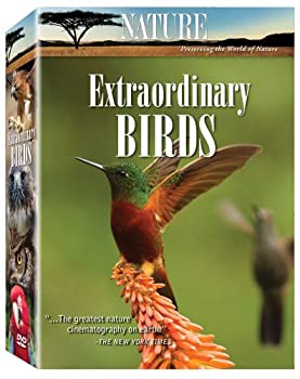 【中古】Nature: Extraordinary Birds [DVD] [Import]