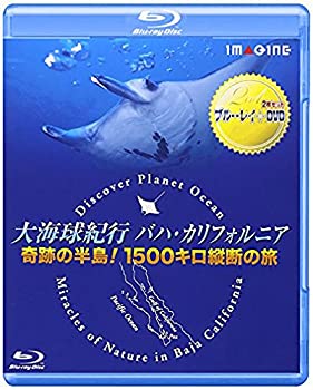 【中古】大海球紀行バハ・カリフォルニア　−奇跡の半島！1500キロ縦断の旅− [Blu-ray]