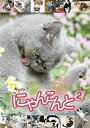 【中古】にゃんこんと2~キャット驚くオモシロねこ動画 ホントはこんなこと言ってたりして~ [DVD]【メーカー名】バップ【メーカー型番】【ブラン名】バップ商品画像はイメージです。中古という特性上、使用に影響ない程度の使用感・経年劣化（傷、汚れなど）がある場合がございます。また、中古品の特性上、ギフトには適しておりません。商品名に『初回』、『限定』、『〇〇付き』等の記載がございましても、特典・付属品・保証等は原則付属しておりません。当店では初期不良に限り、商品到着から7日間はを受付けております。(注文後の購入者様都合によるキャンセル・はお受けしていません。)他モールでも併売している商品の為、完売の際は在庫確保できない場合がございます。ご注文からお届けまで1、ご注文⇒ご注文は24時間受け付けております。2、注文確認⇒ご注文後、当店から注文確認メールを送信します。3、在庫確認⇒新品在庫：3-5日程度でお届け。　　※中古品は受注後に、再メンテナンス、梱包しますので　お届けまで3日-10日営業日程度とお考え下さい。　米海外から発送の場合は3週間程度かかる場合がございます。　※離島、北海道、九州、沖縄は遅れる場合がございます。予めご了承下さい。※配送業者、発送方法は選択できません。お電話でのお問合せは少人数で運営の為受け付けておりませんので、メールにてお問合せお願い致します。お客様都合によるご注文後のキャンセル・はお受けしておりませんのでご了承下さい。ご来店ありがとうございます。 昭和・平成のCD、DVD、家電、音響機器など希少な商品も多数そろえています。 掲載していな商品もお探しいたします。 お気軽にメールにてお問い合わせください。