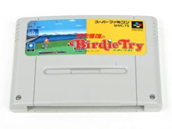 【中古】芹沢信雄のバーディートライ 【中古】芹沢信雄のバーディートライ