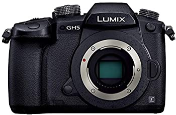 【中古】パナソニック ミラーレス一眼カメラ ルミックス GH5 ボディ ブラック DC-GH5-K