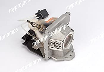 【中古】用プロジェクタ ランプ ベンキュー 5J.J2D05.011 【中古】用プロジェクタ ランプ ベンキュー 5J.J2D05.011