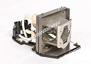 【中古】用プロジェクタ ランプ オプトマ SP.85F01G001 BL-FU220B SP.85F01G.001