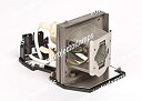 【中古】用プロジェクタ ランプ オプトマ SP.8BH01GC01 BL-FU300A SP.8BH01G.C01
