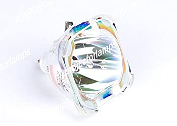 šѥץ Х Х륳 R9842807 R764741