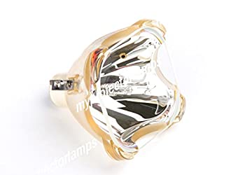 【中古】用プロジェクタ バルブ バルコ R9841822 【中古】用プロジェクタ バルブ バルコ R9841822