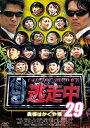 yÁz29 ~l͂P~ [DVD]