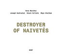 【中古】Destroyer of Naivetes