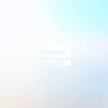 šInsight - Remastered [ܡʥȥåΥɥɤĤ]