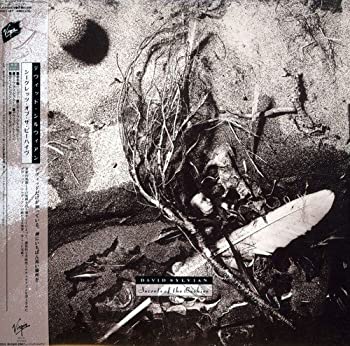 【中古】シークレッツ・オブ・ザ・ビーハイヴ(紙ジャケット仕様)