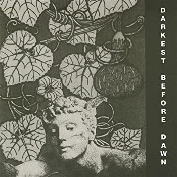 【中古】Darkest Before Dawn