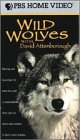 【中古】(未使用・未開封品)Wild Wolves [VHS]