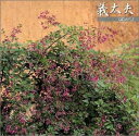 【中古】義太夫