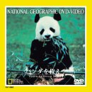 ご来店ありがとうございます。昭和・平成のCD、DVD、家電、音響機器など希少な商品も多数そろえています。レコード、楽器の取り扱いはございません。掲載していない商品もお探しいたします。映像商品にはタイトル最後に[DVD]、[Blu-ray]と表記しています。表記ないものはCDとなります。お気軽にメールにてお問い合わせください。パンダを救え! [DVD]【メーカー名】東宝東和【メーカー型番】【ブランド名】【商品説明】パンダを救え! [DVD]・中古品（ユーズド品）について商品画像はイメージです。中古という特性上、使用に影響ない程度の使用感・経年劣化（傷、汚れなど）がある場合がございます。商品のコンディション、付属品の有無については入荷の度異なります。また、中古品の特性上、ギフトには適しておりません。商品名に『初回』、『限定』、『〇〇付き』等の記載がございましても、特典・付属品・保証等は原則付属しておりません。付属品や消耗品に保証はございません。当店では初期不良に限り、商品到着から7日間は返品を受付けております。注文後の購入者様都合によるキャンセル・返品はお受けしていません。他モールでも併売している商品の為、完売の際は在庫確保できない場合がございます。ご注文からお届けまで1、ご注文⇒ご注文は24時間受け付けております。2、注文確認⇒ご注文後、当店から注文確認メールを送信します。3、在庫確認⇒新品、新古品：3-5日程度でお届け。※中古品は受注後に、再検品、メンテナンス等により、お届けまで3日-10日営業日程度とお考え下さい。米海外倉庫から取り寄せの商品については発送の場合は3週間程度かかる場合がございます。　※離島、北海道、九州、沖縄は遅れる場合がございます。予めご了承下さい。※配送業者、発送方法は選択できません。お電話でのお問合せは少人数で運営の為受け付けておりませんので、メールにてお問合せお願い致します。お客様都合によるご注文後のキャンセル・返品はお受けしておりませんのでご了承下さい。