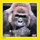 ご来店ありがとうございます。昭和・平成のCD、DVD、家電、音響機器など希少な商品も多数そろえています。レコード、楽器の取り扱いはございません。掲載していない商品もお探しいたします。映像商品にはタイトル最後に[DVD]、[Blu-ray]と...