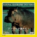 【中古】アフリカが涸れる! [DVD]