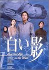 樂天商城 - 【中古】DVD白い影(1)