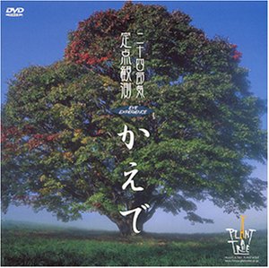  ���� Eye Experience ������ [DVD]