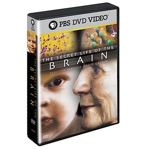 【中古】Secret Life of Brain [DVD]