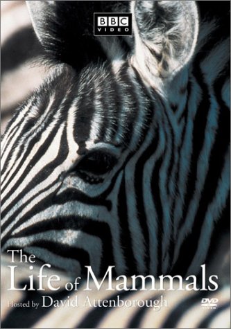 樂天商城 - 【中古】Life of Mammals 1 [DVD]