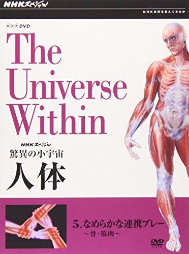 【中古】NHKスペシャル 驚異の小宇宙 人体 Vol.5「なめらかな連携プレー~骨・筋肉~」 [DVD]