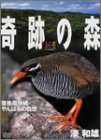 【中古】大自然ライブラリー 奇跡の森~亜熱帯沖縄・やんばるの自然~湊和雄 [DVD]