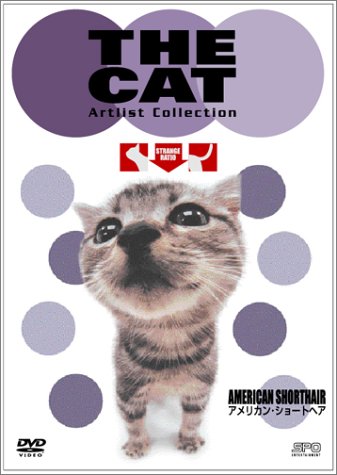 楽天市場】アメリカンショートヘア cat（CD・DVD）の通販