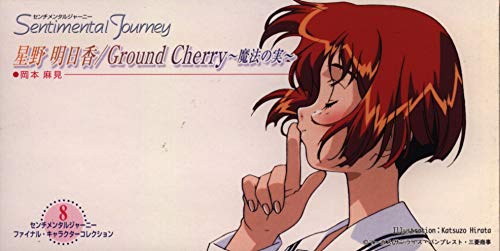 【中古】センチメンタルジャーニー(8)