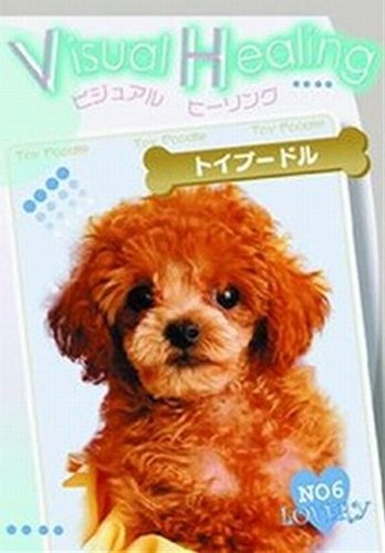 ご来店ありがとうございます。昭和・平成のCD、DVD、家電、音響機器など希少な商品も多数そろえています。レコード、楽器の取り扱いはございません。掲載していない商品もお探しいたします。映像商品にはタイトル最後に[DVD]、[Blu-ray]と表記しています。表記ないものはCDとなります。お気軽にメールにてお問い合わせください。VisualHealingトイプードル 6 [レンタル落ち] [DVD]【メーカー名】ケンメディア【メーカー型番】【ブランド名】ケンメディア【商品説明】VisualHealingトイプードル 6 [レンタル落ち] [DVD]・中古品（ユーズド品）について商品画像はイメージです。中古という特性上、使用に影響ない程度の使用感・経年劣化（傷、汚れなど）がある場合がございます。商品のコンディション、付属品の有無については入荷の度異なります。また、中古品の特性上、ギフトには適しておりません。商品名に『初回』、『限定』、『〇〇付き』等の記載がございましても、特典・付属品・保証等は原則付属しておりません。付属品や消耗品に保証はございません。当店では初期不良に限り、商品到着から7日間は返品を受付けております。注文後の購入者様都合によるキャンセル・返品はお受けしていません。他モールでも併売している商品の為、完売の際は在庫確保できない場合がございます。ご注文からお届けまで1、ご注文⇒ご注文は24時間受け付けております。2、注文確認⇒ご注文後、当店から注文確認メールを送信します。3、在庫確認⇒新品、新古品：3-5日程度でお届け。※中古品は受注後に、再検品、メンテナンス等により、お届けまで3日-10日営業日程度とお考え下さい。米海外倉庫から取り寄せの商品については発送の場合は3週間程度かかる場合がございます。　※離島、北海道、九州、沖縄は遅れる場合がございます。予めご了承下さい。※配送業者、発送方法は選択できません。お電話でのお問合せは少人数で運営の為受け付けておりませんので、メールにてお問合せお願い致します。お客様都合によるご注文後のキャンセル・返品はお受けしておりませんのでご了承下さい。