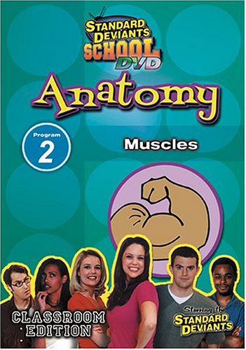 【中古】Standard Deviants: Anatomy Program 2 - Muscles [DVD]