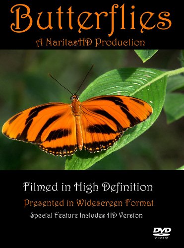 【中古】Butterflies [DVD] [Import]