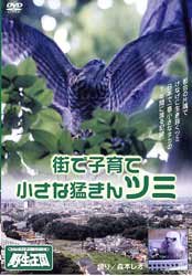 TV Anime - 【中古】街で子育て 小さな猛きん ツミ 《DVDネイチャーシリーズ 野生の王国》 [DVD]