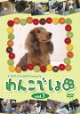 【中古】『わんこでしょ』DVD vol.1