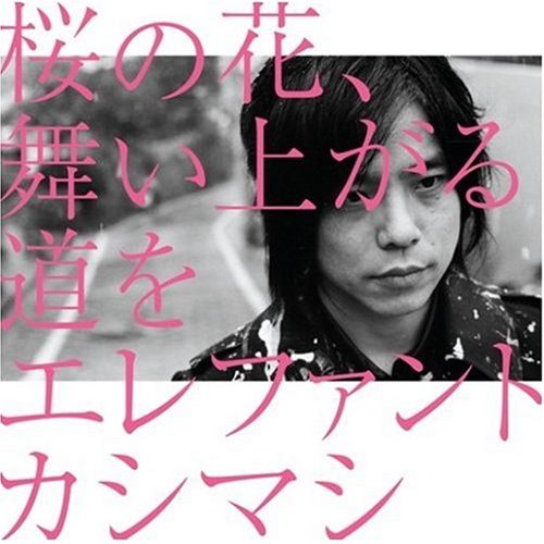 【中古】桜の花、舞い上がる道を(初回盤B)(DVD付)