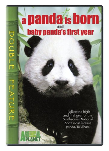 Panda Is Born & Baby Pandas First Year 