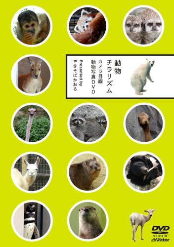 動物チラリズム -カメラ目線動物写真DVD-