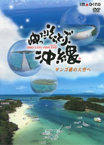 【中古】ゆったりそらとぶ沖縄 サンゴ礁の大空へ [DVD]