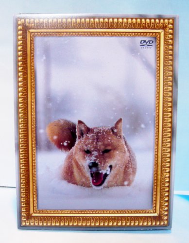 樂天商城 - 【中古】レオナルド犬プリオ(初回生産限定盤) [DVD]