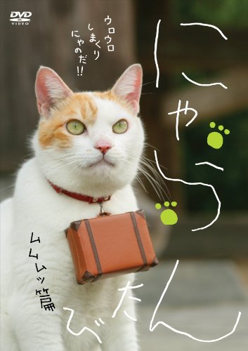 【中古】にゃらん たび ムムムッ篇 [DVD]