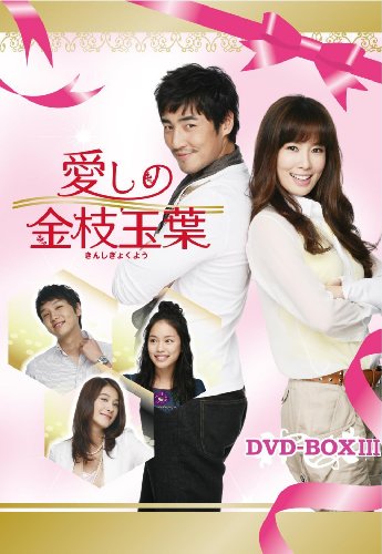 【中古】愛しの金枝玉葉 DVD-BOXIII