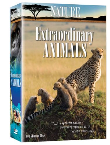 楽天Come to Store【中古】Nature: Extraordinary Animals [DVD]