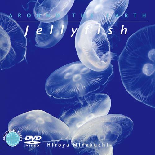 【中古】ジェリーフィッシュ [DVD]