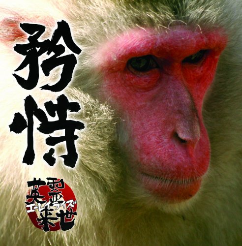 乐天商城 - 【中古】1st Album 「矜恃」(きょうじ)